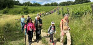 Amelia (Tr), l’ ‘Apenday’ del Lions Club, una giornata dedicata alle api, foto passeggiata