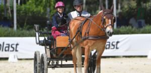 Equitazione, in Umbria partecipazione record per il campionato ‘Attacchi’, foto bambini in carrozza