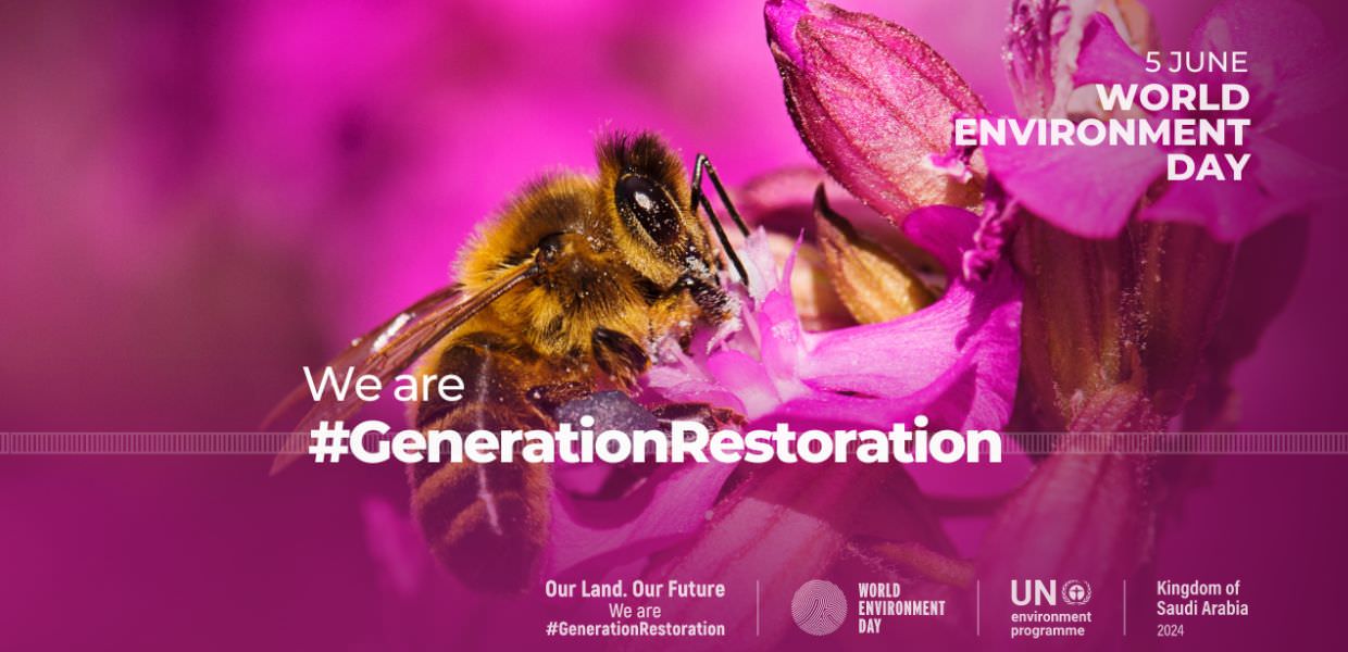 Giornata Mondiale dell'Ambiente, il ripristino del territorio è nelle nostre mani