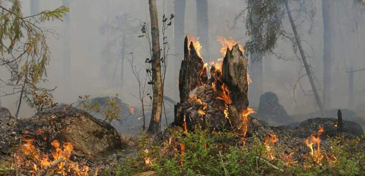 Incendi boschivi in Italia, il problema della prevenzione (che non c'è)