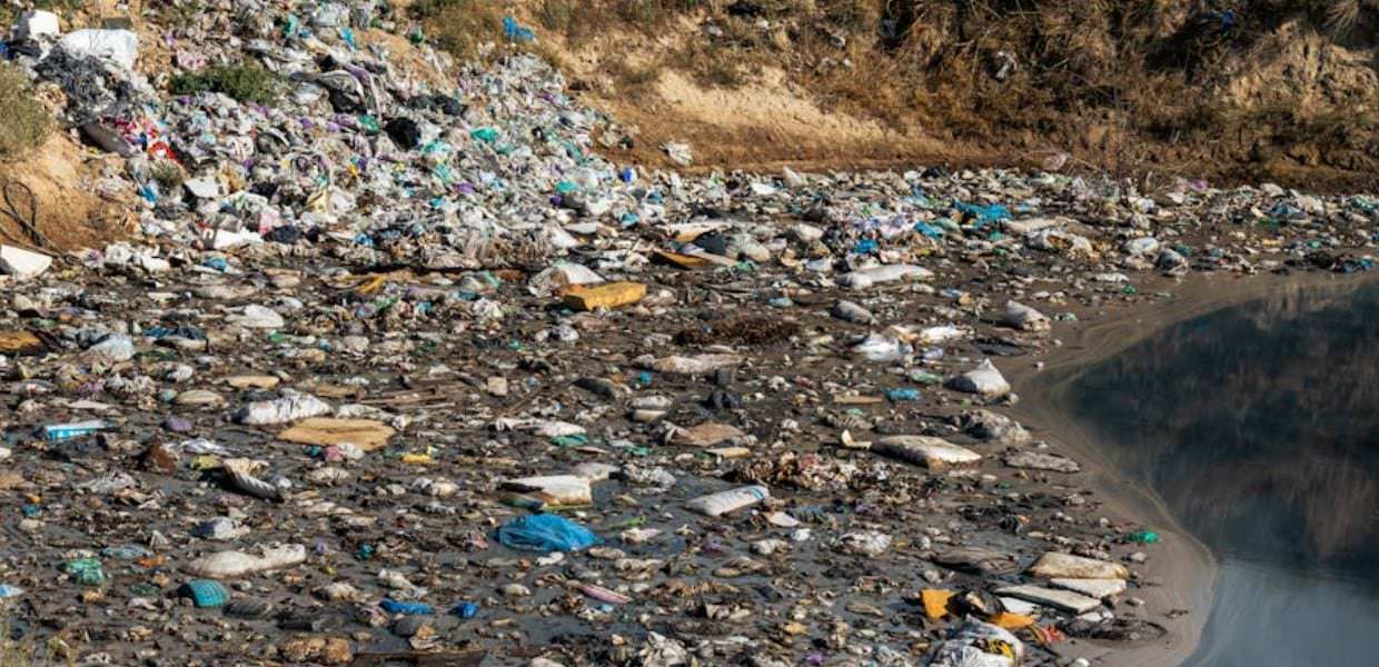 Inquinamento nei fiumi, gli organismi nella plastisfera minacciano gli ecosistemi