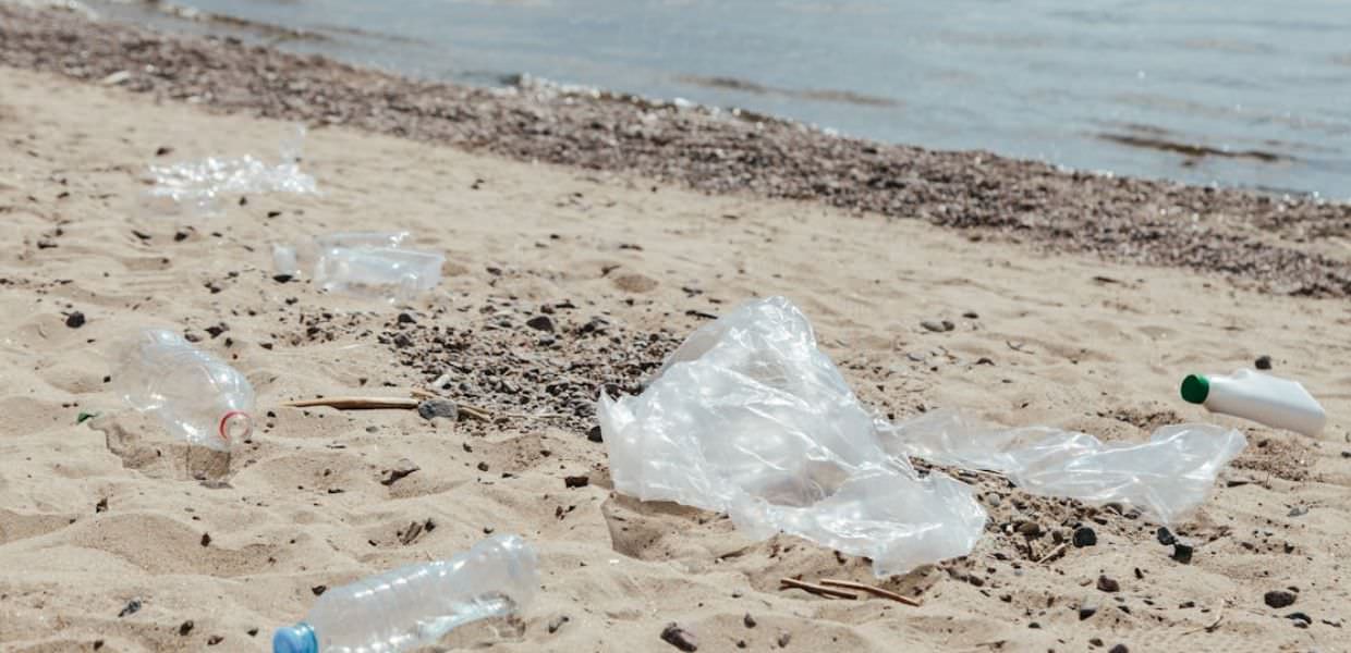 Si può dire deplastificazione L'analisi dell'Accademia della Crusca