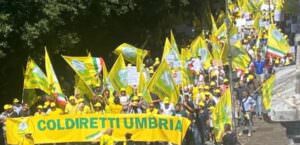 Umbria, 3000 agricoltori in piazza a Perugia per l’emergenza cinghiali 3 Umbria, 3000 agricoltori in piazza a Perugia per l’emergenza cinghiali, foto corteo