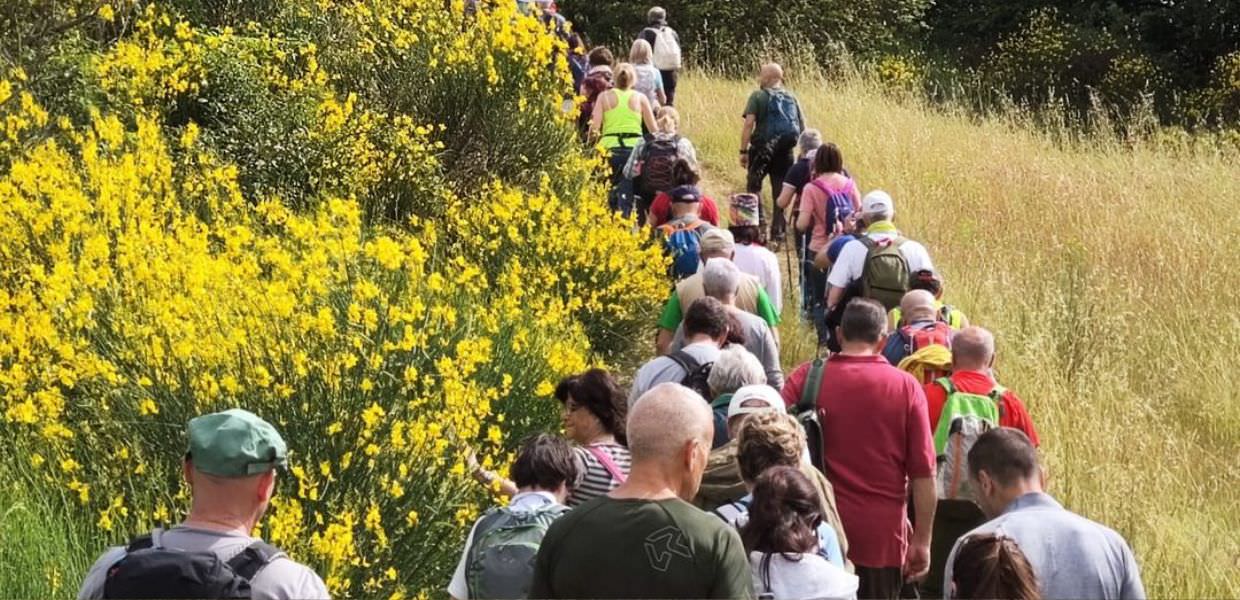 Umbria, ‘Passeggiate & buon gusto’, oleoturismo con musica e visite nelle Abbazie