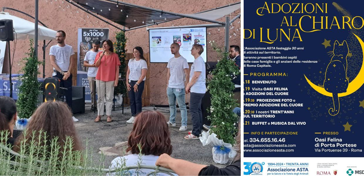 adozioni al chiaro di luna asta