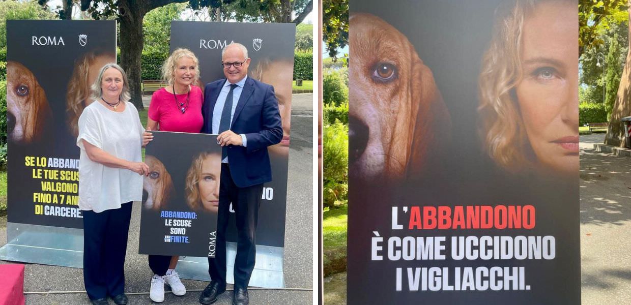 animali campagna anti abbandono roma