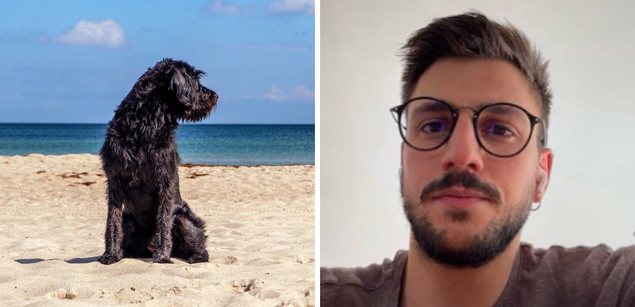 Animali ed estate, i consigli del medico veterinario