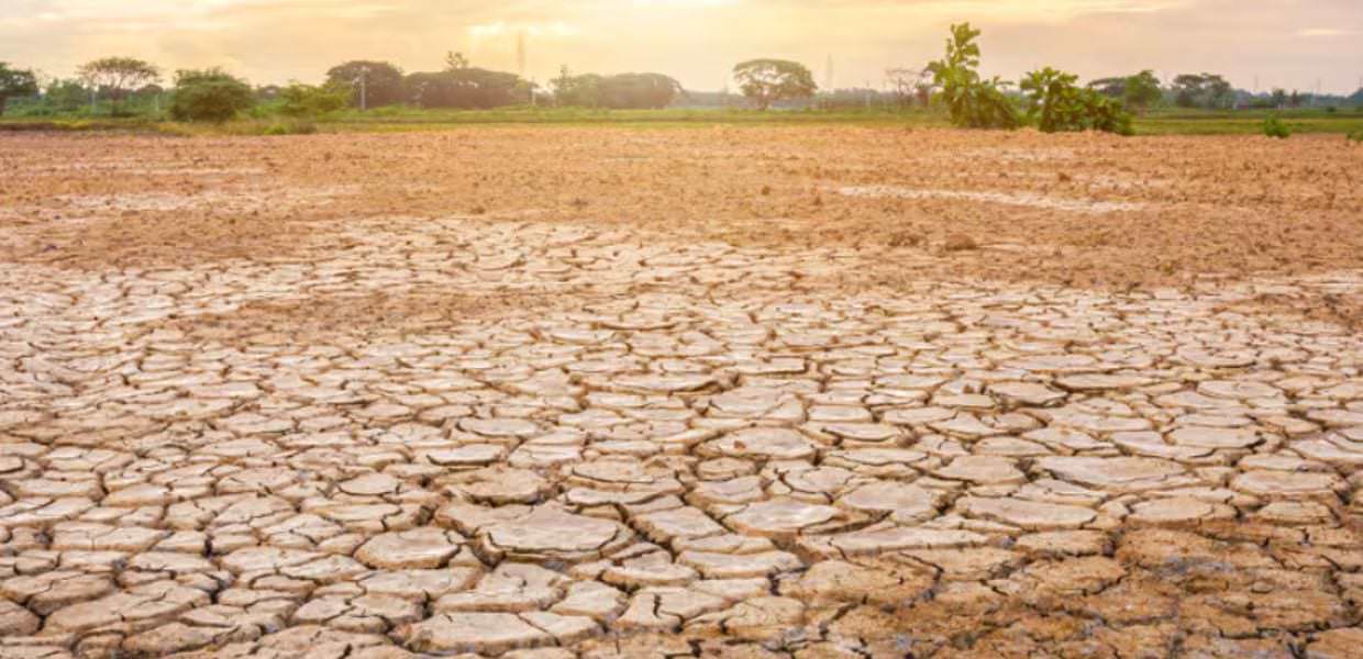 giornata mondiale desertificazione italia greenpeace