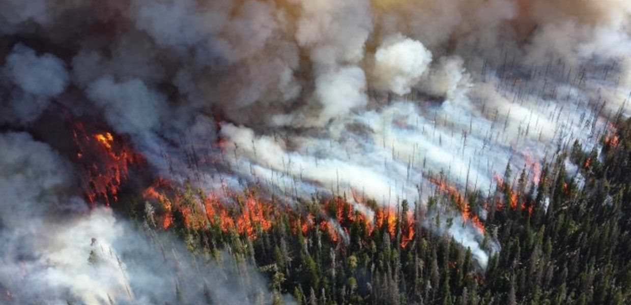 incendi copernicus emissioni