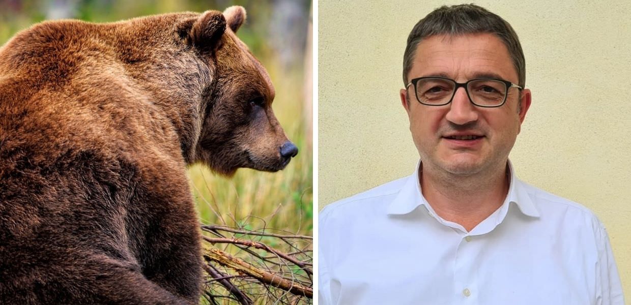 Orsi in Trentino, Fugatti: "Serve lo spray per tutti i cittadini"