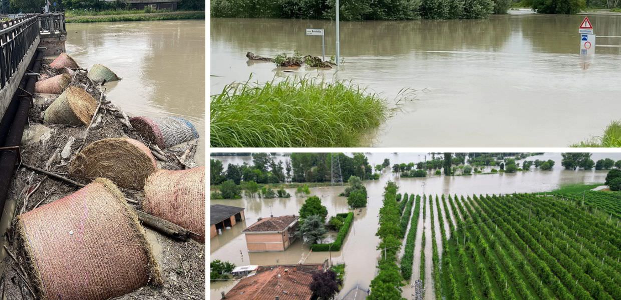 piogge danni emilia romagna