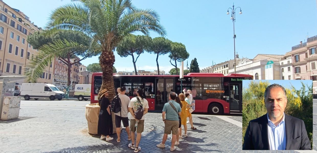 Roma, alberi alle fermate dei bus. Ferrini (UniFI): "Inefficaci contro la crisi climatica"