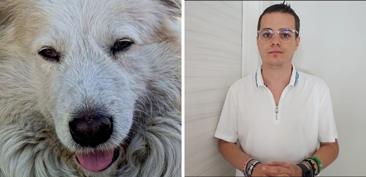 Cane ucciso a Roma, Enrico Rizzi: "Chi maltratta gli animali deve finire in galera"