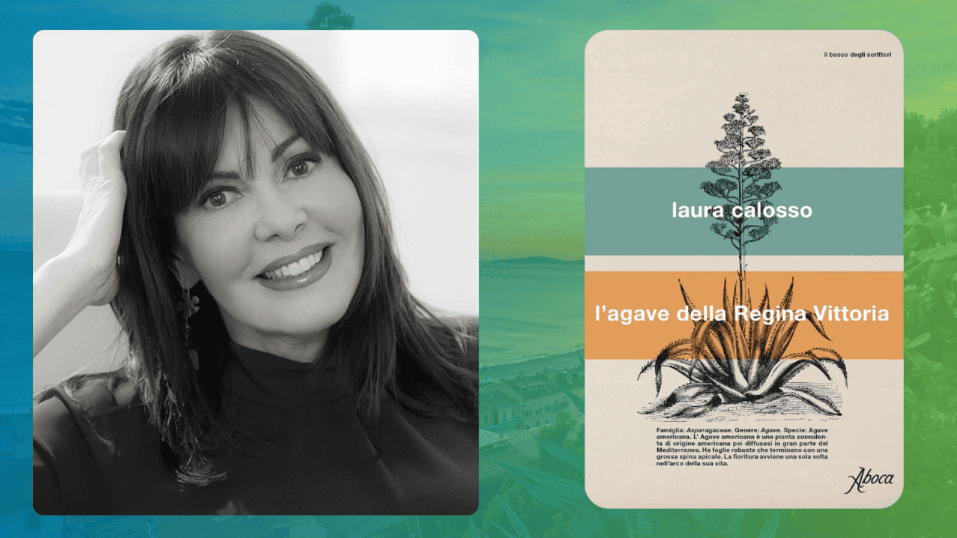 Arriva in libreria L'agave della Regiana Vittoria di Laura Calosso