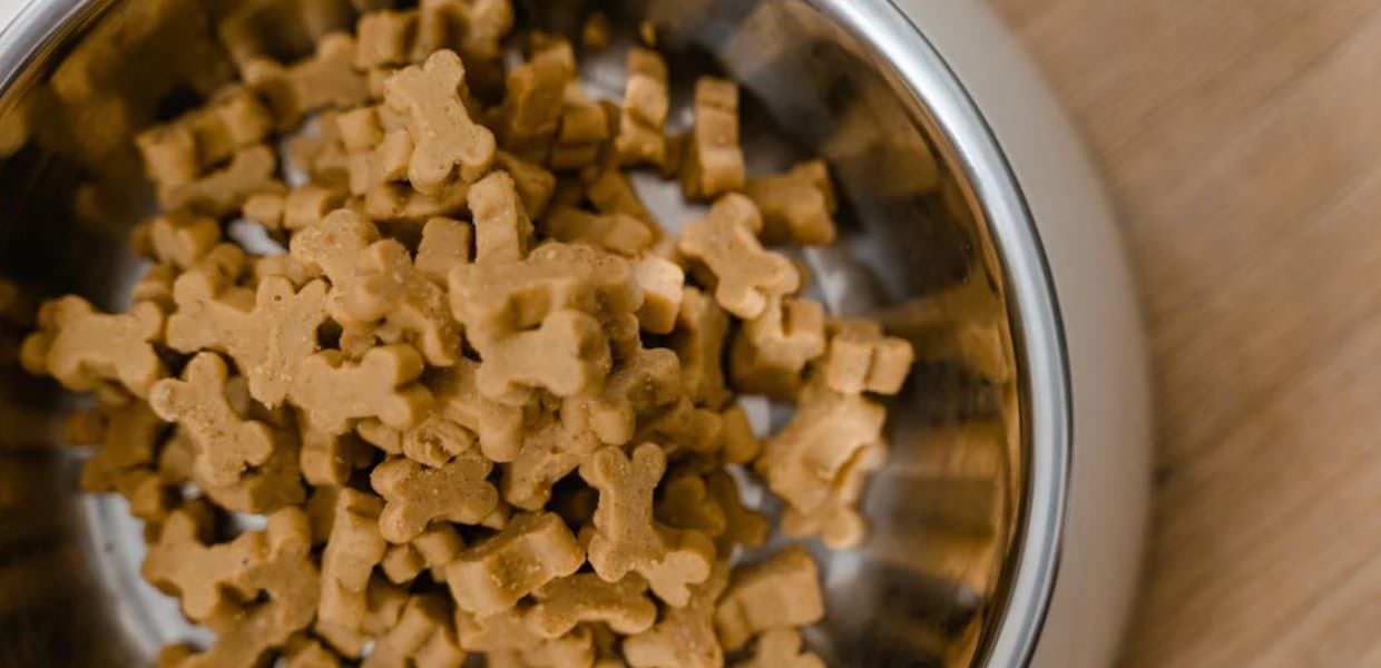 Carne coltivata, via libera alla produzione nel Regno Unito è il primo Paese in Ue