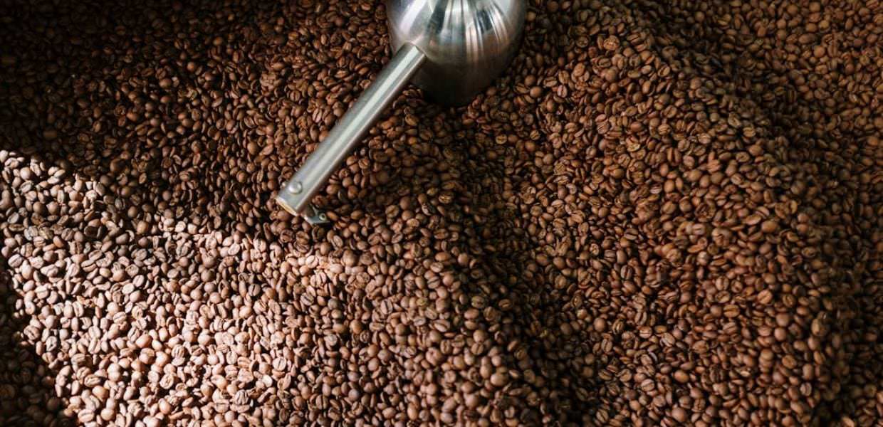 Livelli più alti di PFAS sono associati al consumo di caffè, riso bianco e uova