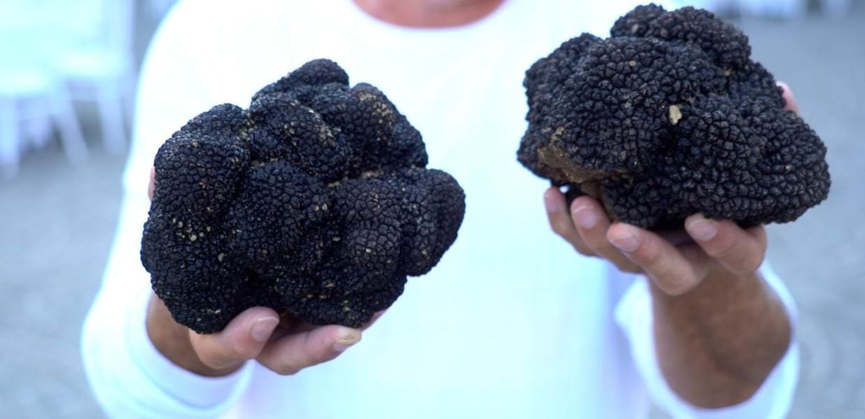 Pietralunga (Pg), serata di beneficenza per l’Airc con due tartufi da guinness