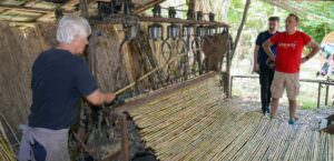 Umbria, Lago Trasimeno, Slow Food tra natura, antichi mestieri e biodiversità, foto canne palustri