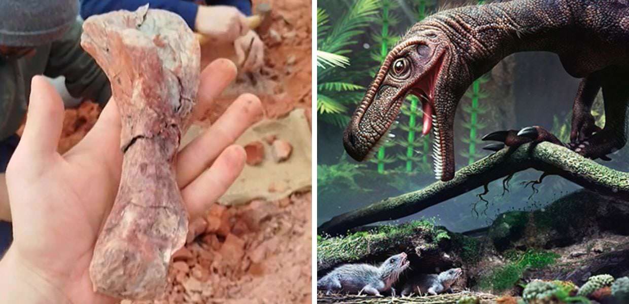 Brasile, le alluvioni portano alla luce un fossile di dinosauro. Il video