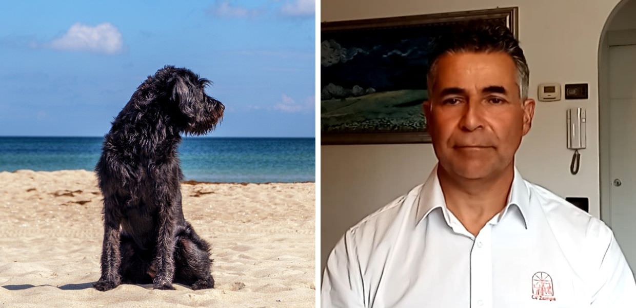Cani in spiaggia, ecco i consigli dell'educatore cinofilo