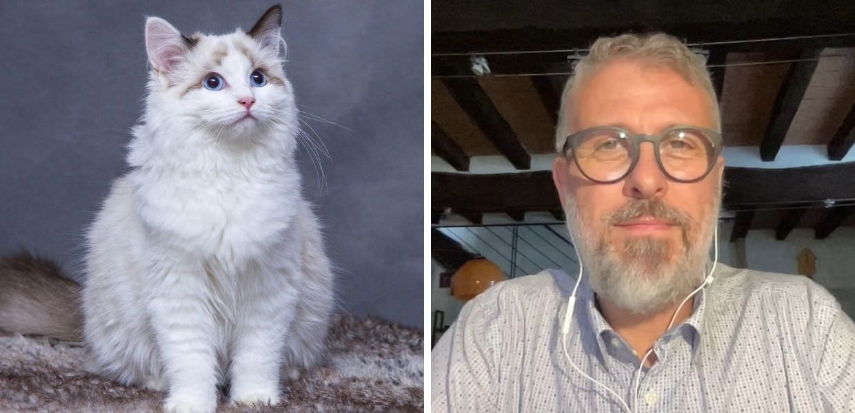 Gatti, ecco i consigli del consulente felino Andrea Vantadori