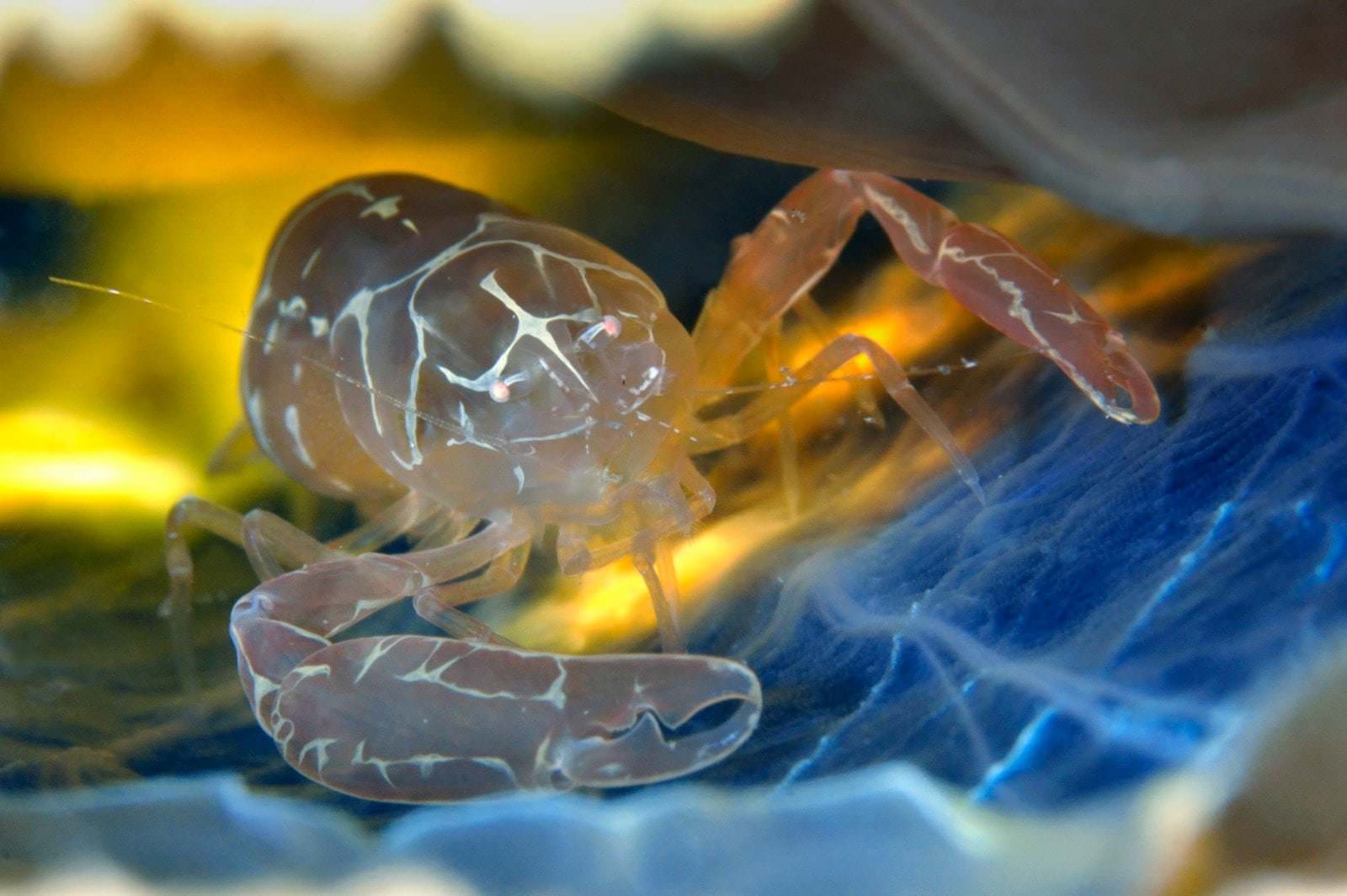 giornata internazionale mediterraneo