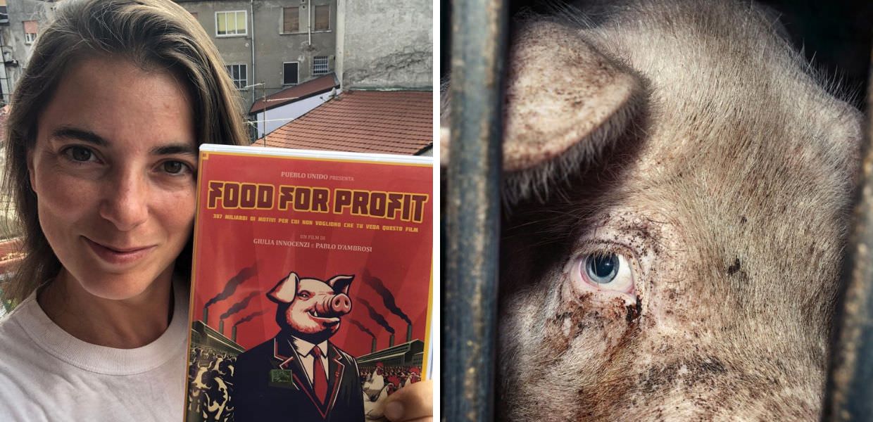 Food for Profit, il docufilm di Giulia Innocenzi anche in DVD e in streaming