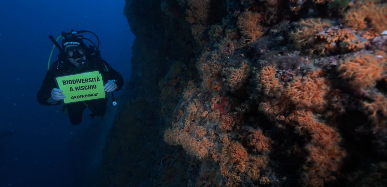 Greenpeace Italia: "Protetto meno dell'1% del mare italiano"