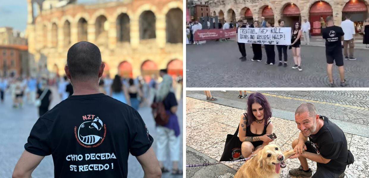 orsi trentino arena di verona centopercentoanimalisti