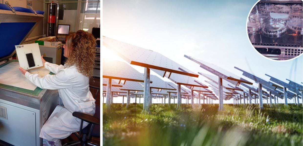 pannelli solari umidita raggi uv