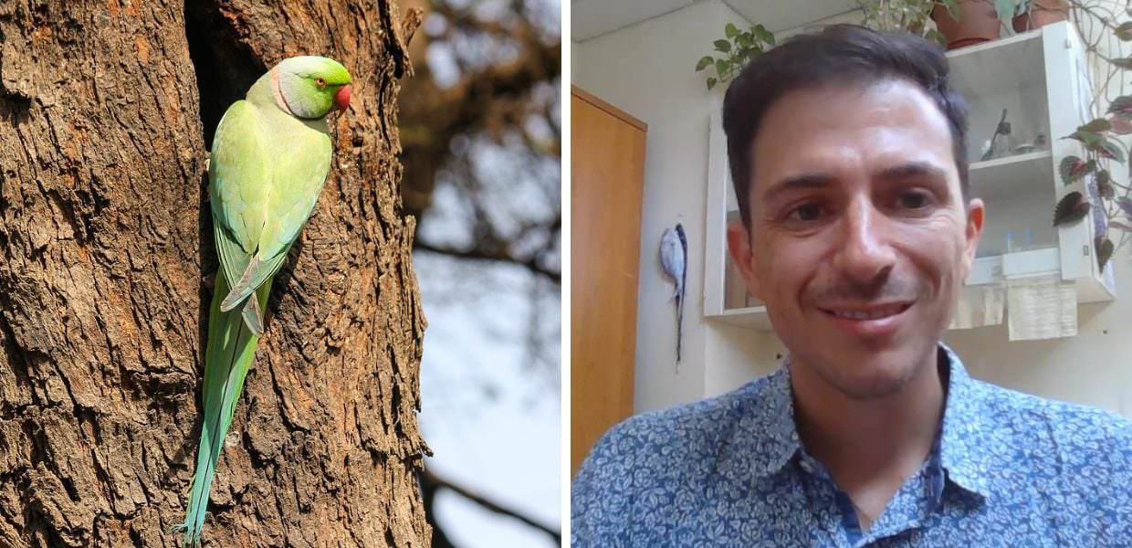 Con Andrea Bonifazi alla scoperta della biodiversità romana