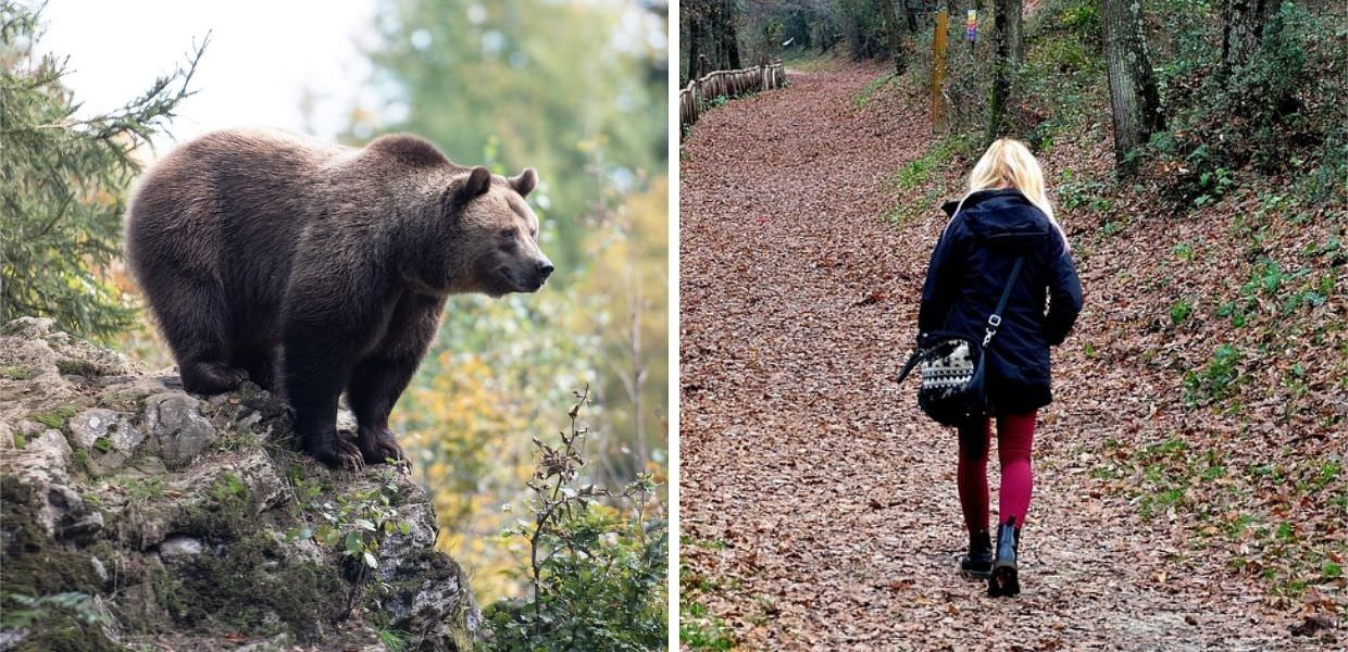 Romania, orso uccide ragazza di 19 anni