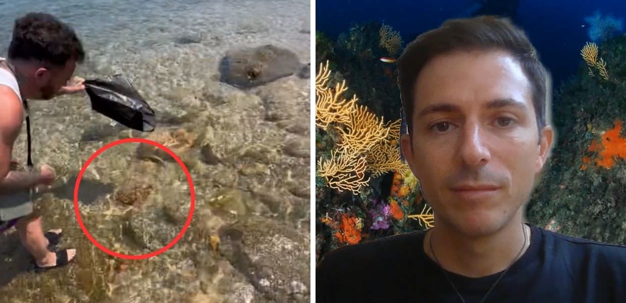 Aragosta liberata da Salmo, l'ecologo marino: "Ecco perché è un gesto sbagliato"