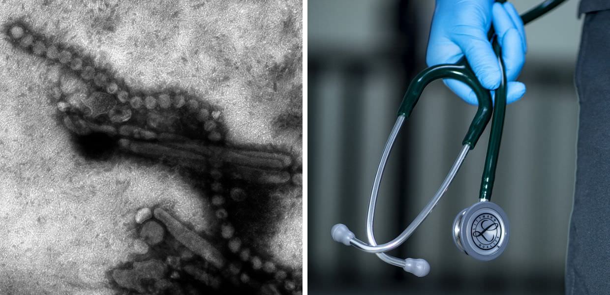 Influenza aviaria, quarto caso umano negli USA