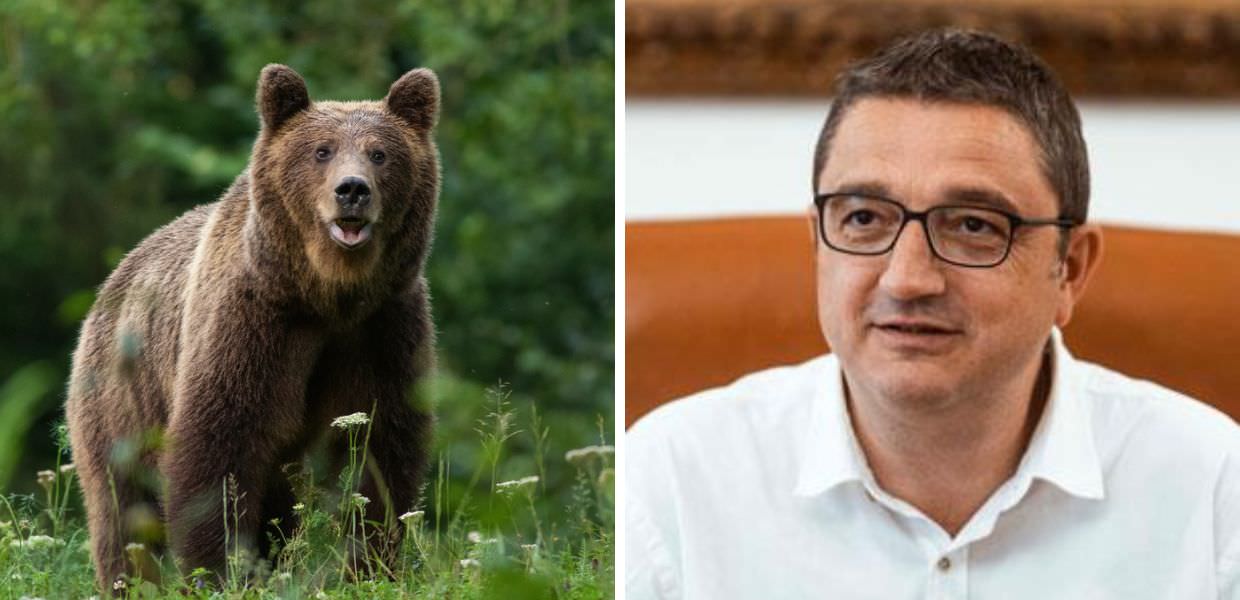 Ore contate per l'orsa KJ1. Fugatti firma una nuova ordinanza di abbattimento