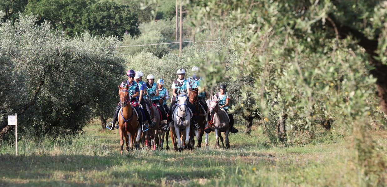 A Castiglione del Lago (Pg) l'Endurance Equestre Internazionale sport, territorio e sostenibilità