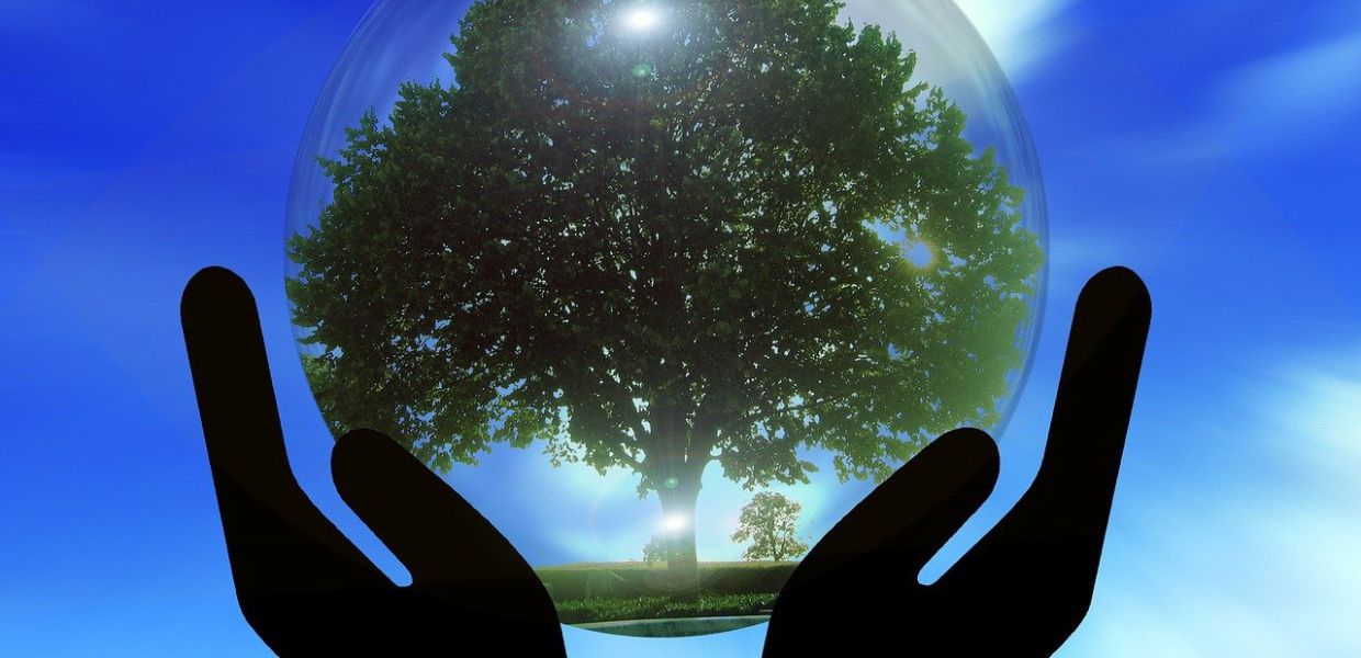 Adattamento ai cambiamenti climatici, ecco strategie e soluzioni per un futuro sostenibile