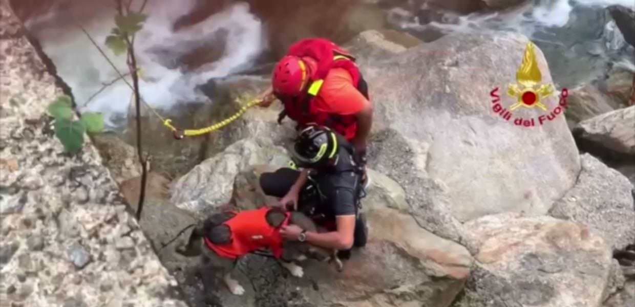cane salvato torrente vigili del fuoco