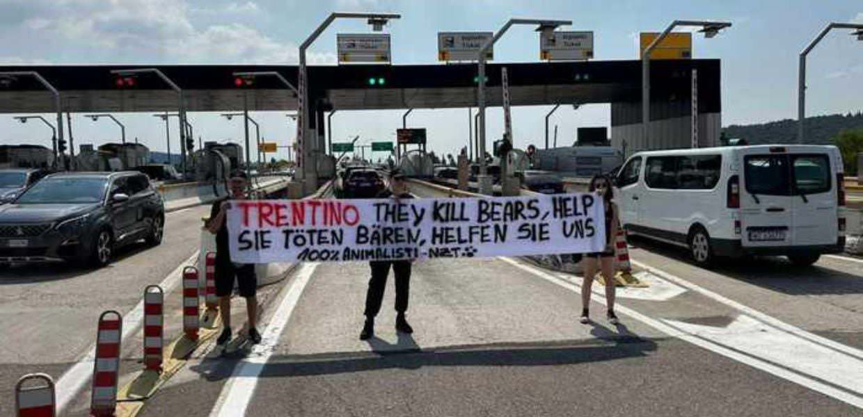 Orsi in Trentino, animalisti bloccano il casello A22: "Non ci fermeremo"