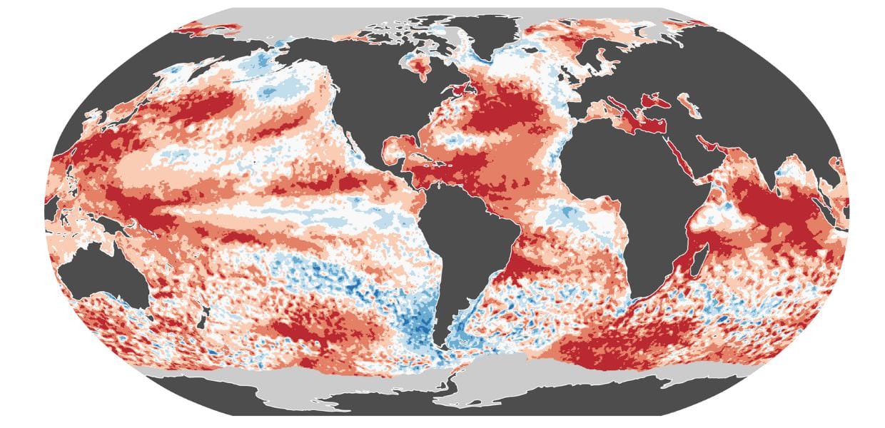 clima luglio 2024 copernicus