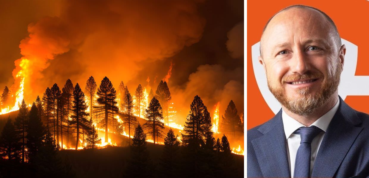 incendi terrorismo consumerismo no profit