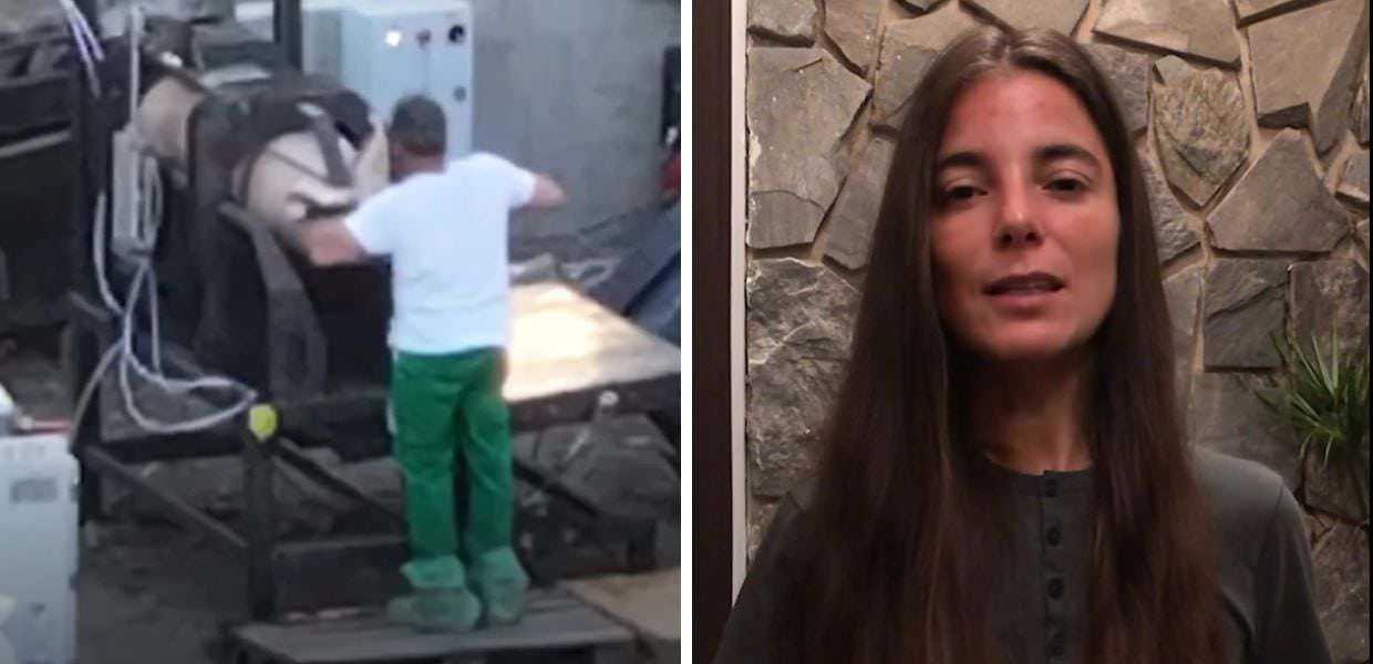 Giulia Innocenzi: "Così stanno uccidendo i maiali affetti da peste suina" | VIDEO