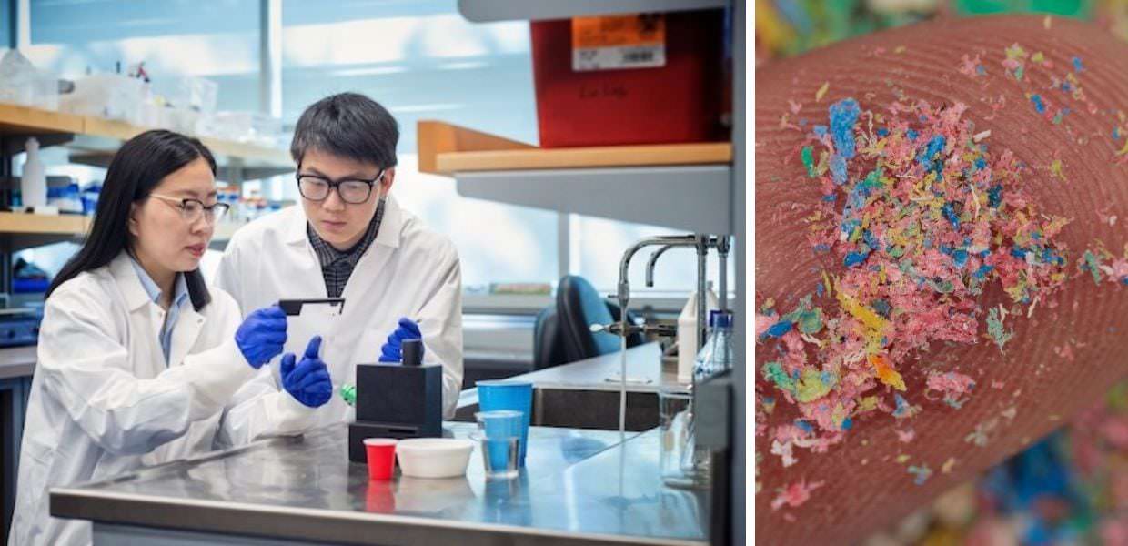 quante microplastiche ingeriamo app calcolo