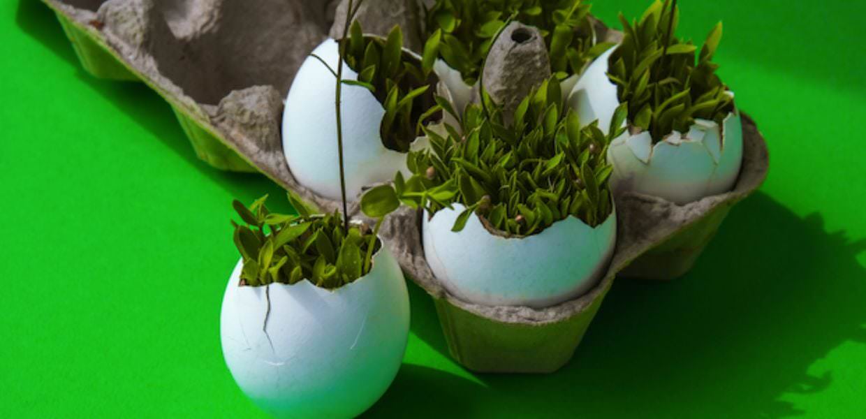 Encubator, al via il programma per startup che progettano il futuro del Pianeta