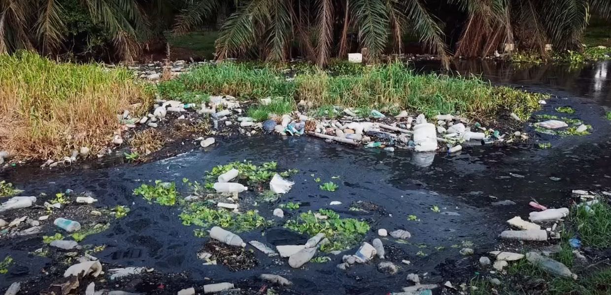 Inquinamento da plastica, 5 documentari per saperne di più