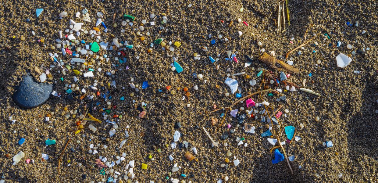 Microplastiche, a 20 anni dal primo studio l'allarme degli scienziati Serve un'azione globale
