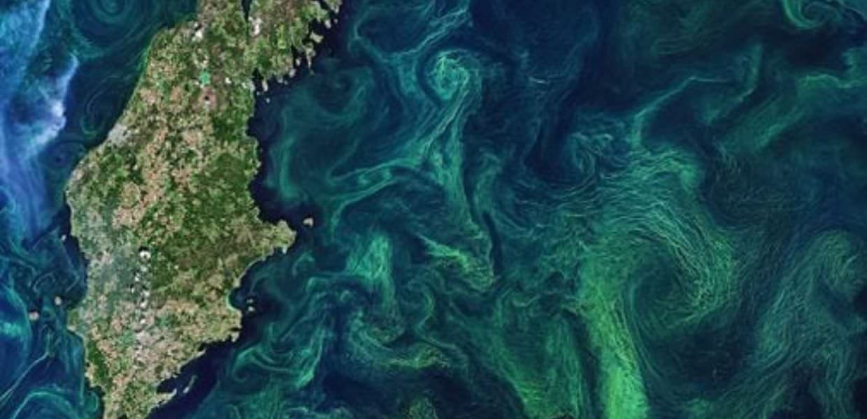 Rilasciare ferro negli oceani. La controversa soluzione per bloccare il riscaldamento globale