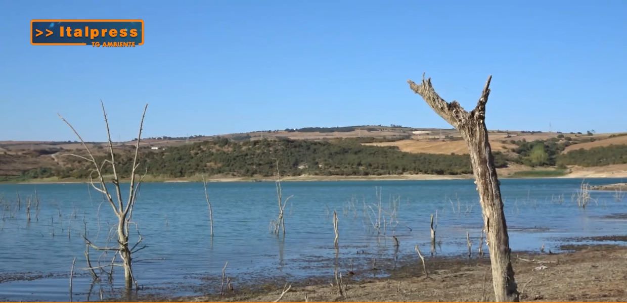 Ambiente colpito da siccità, con vegetazione secca e lago con livello d'acqua ridotto, evidenziando l'impatto dei cambiamenti climatici.