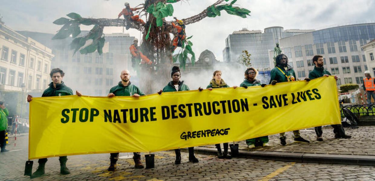 Natura, Greenpeace pianta un albero davanti al Parlamento Europeo
