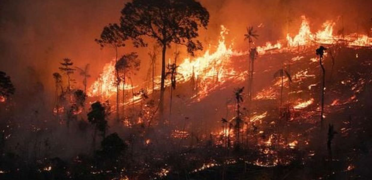 incendi amazzonia agosto 2024